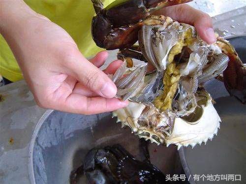 螃蟹怎么清洗与做法(怎样清洗螃蟹的方法视频教程)