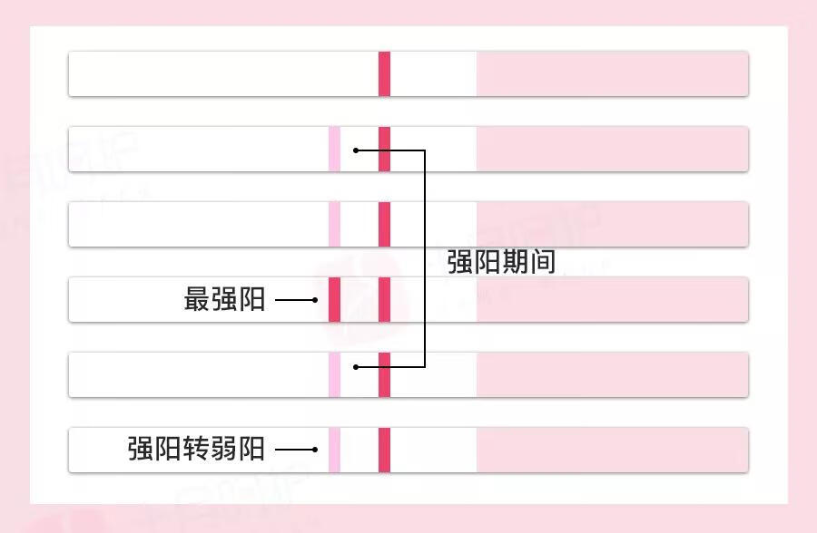 怎么样有助于怀孕(怎样受孕最快)