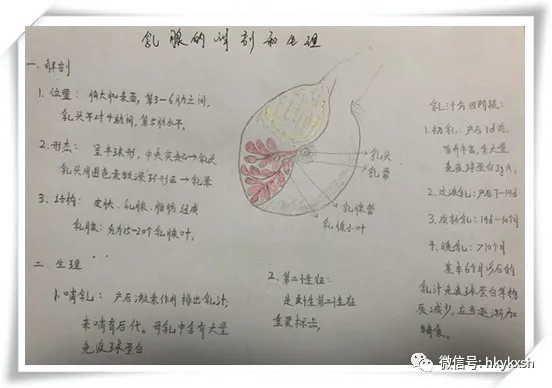 急性乳腺炎怎么办(乳腺炎怎么调理最好方法)