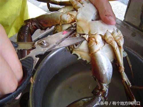 螃蟹怎么清洗与做法(怎样清洗螃蟹的方法视频教程)