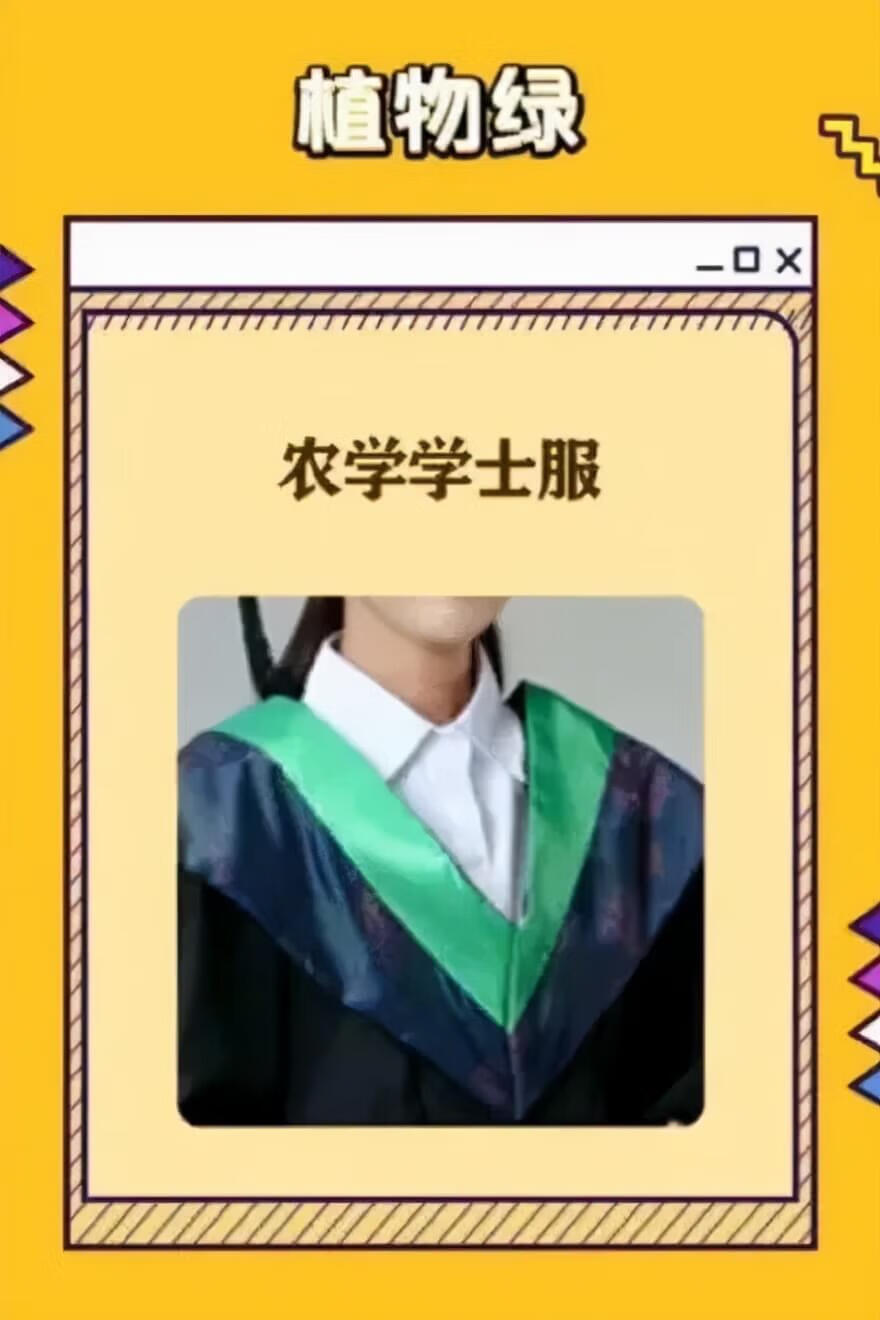 学士服颜色分类的区别(硕士学士服颜色分类)