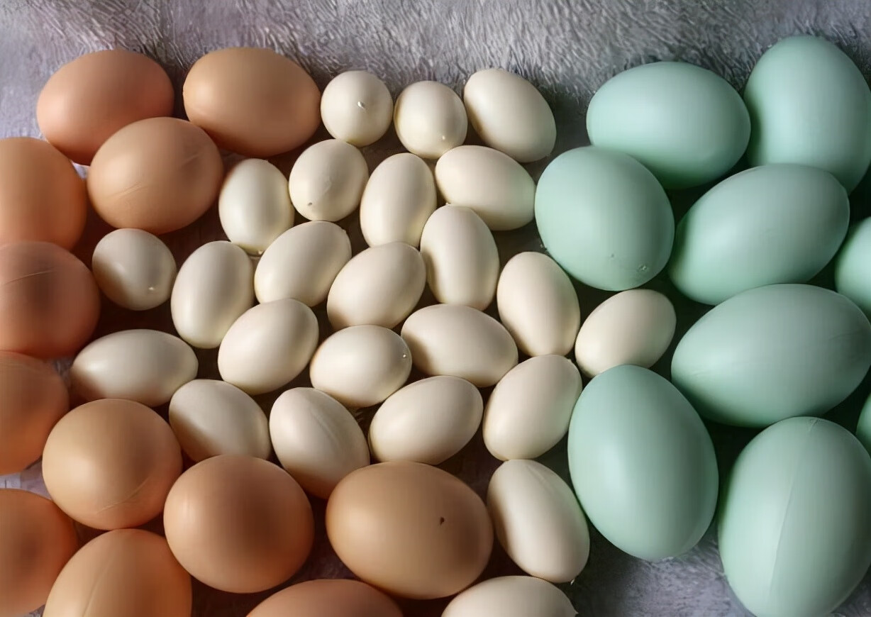 鸭蛋的营养价值及功效与作用禁忌