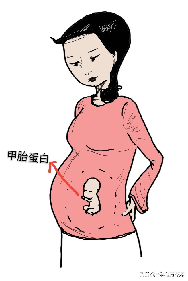 甲胎蛋白是检查什么的指标(甲胎蛋白怎么检查)