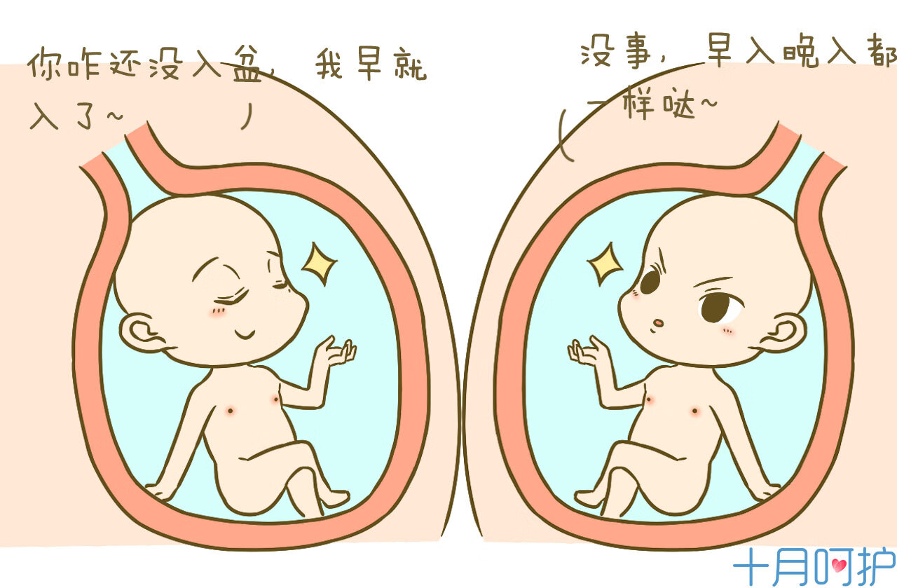 一般入盆后多久会生