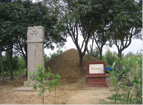 坟头上长树风水好坏(坟头上长构树风水好坏)