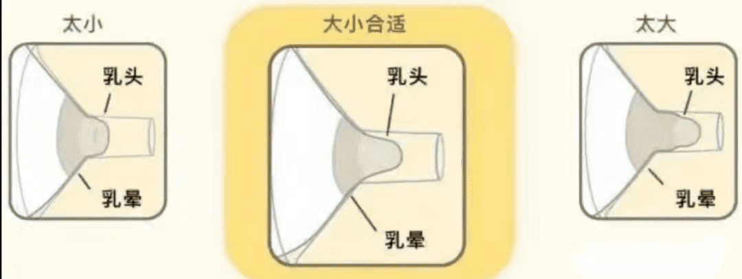吸奶器的正确使用方法(手动吸奶器的使用视频)