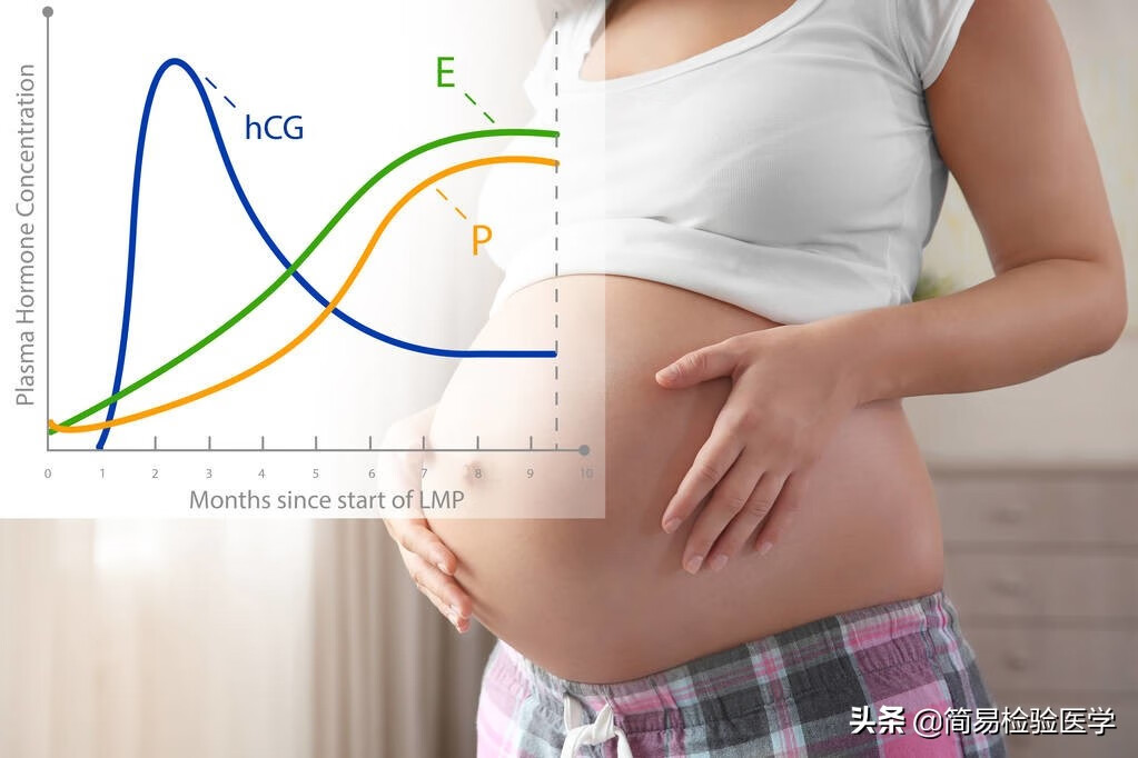 绒毛膜促性腺激素标准(人绒毛膜促性腺激素)