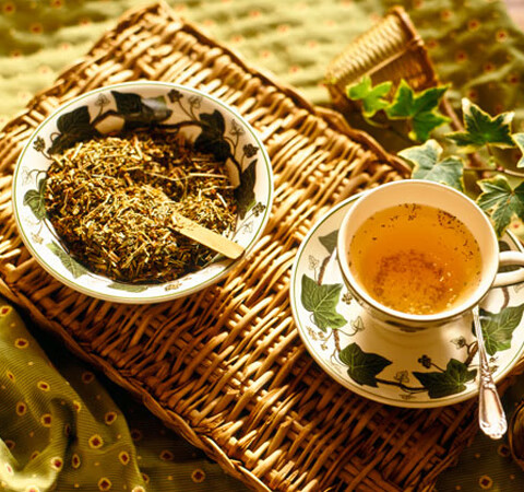 茶的作用有哪些(茶叶的好处和功效)