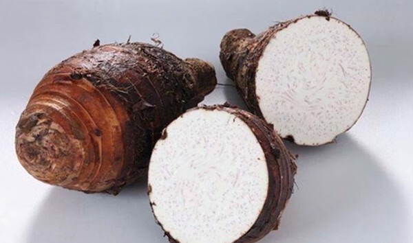 芋艿的作用与功效(芋艿是什么东西)