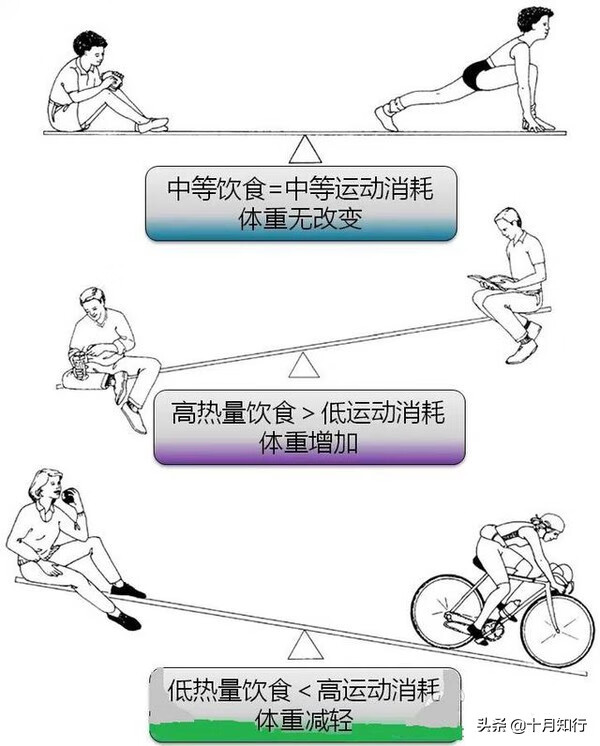 减肥饮食和运动计划(节食运动减肥计划表)