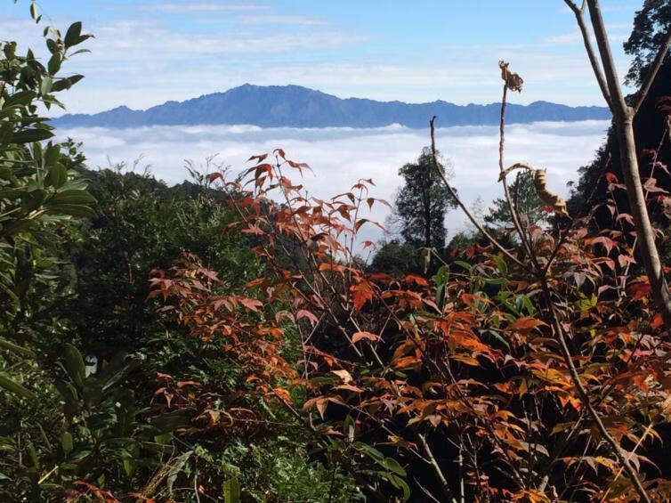 2月份适合去哪里旅游玩(适合2月份旅游的地方有哪些)