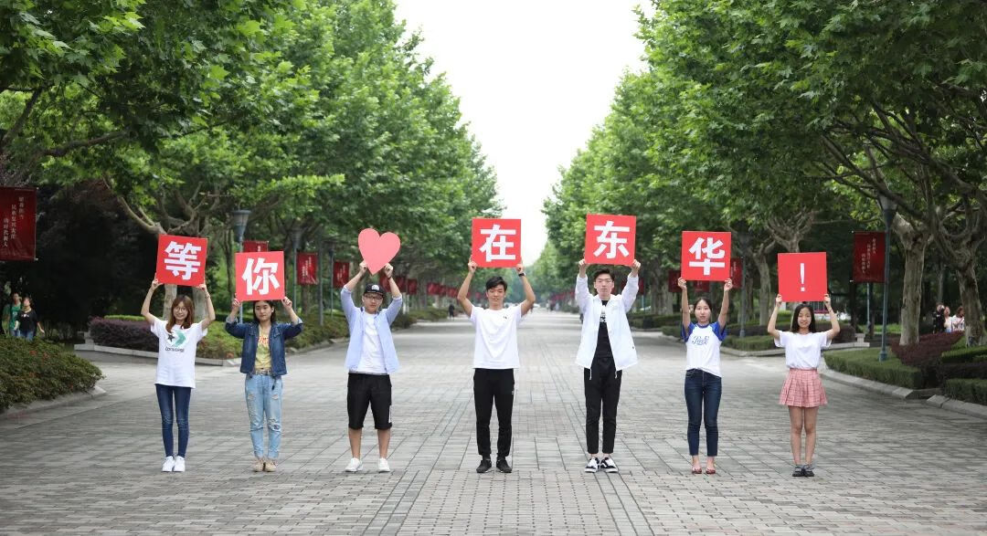 上海东华大学分数线2019(2019上海东华大学分数线)
