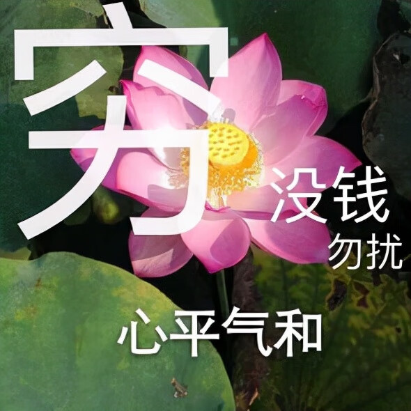 315货源批发网下载APP(可以一件代发的app)