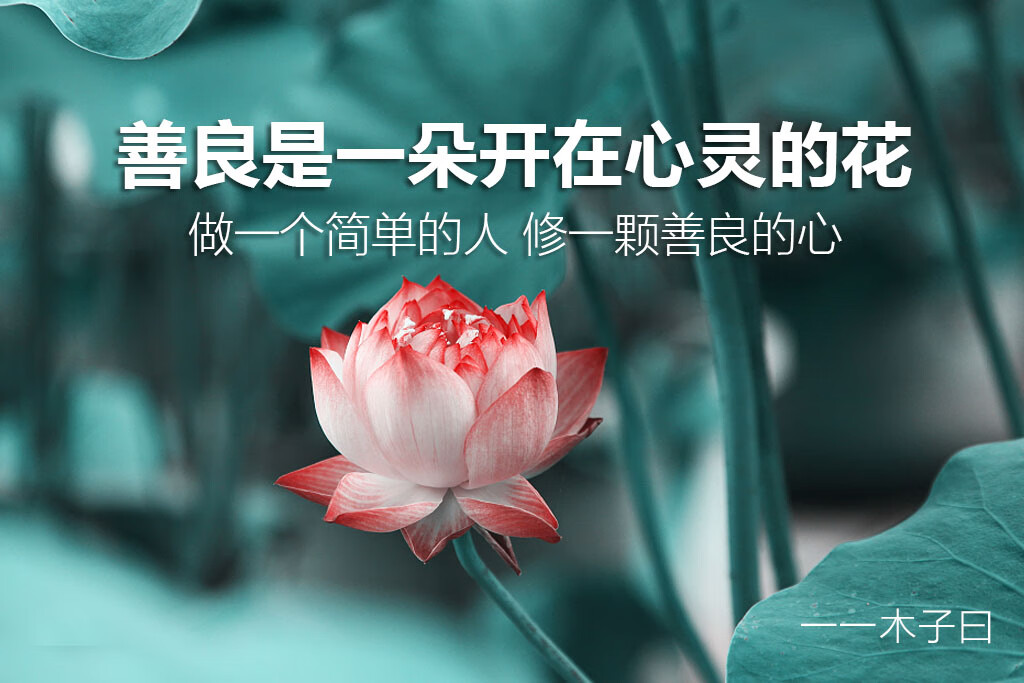 你的善良里藏着你的福报!