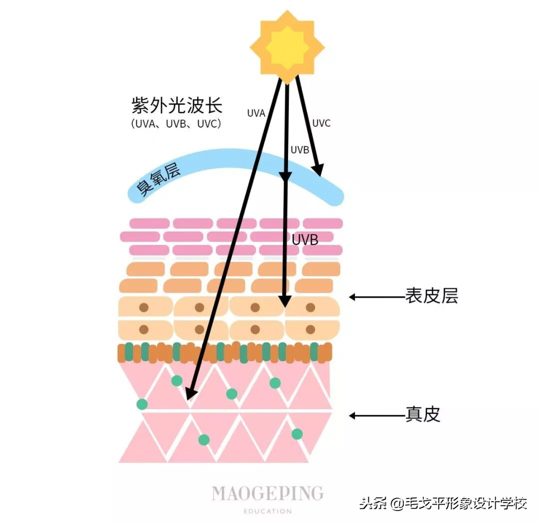 怎么化妆步骤(如何正确的化妆步骤)