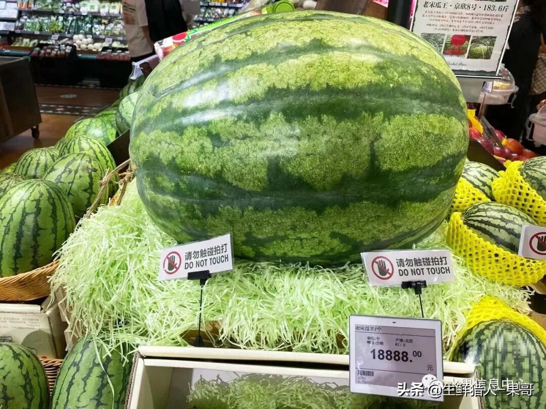 果(果蓏)