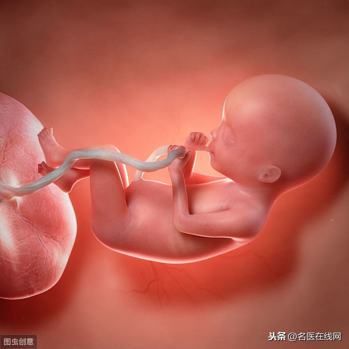 吃胎盘会感染朊病毒吗(一顿吃一个胎盘可不可以)