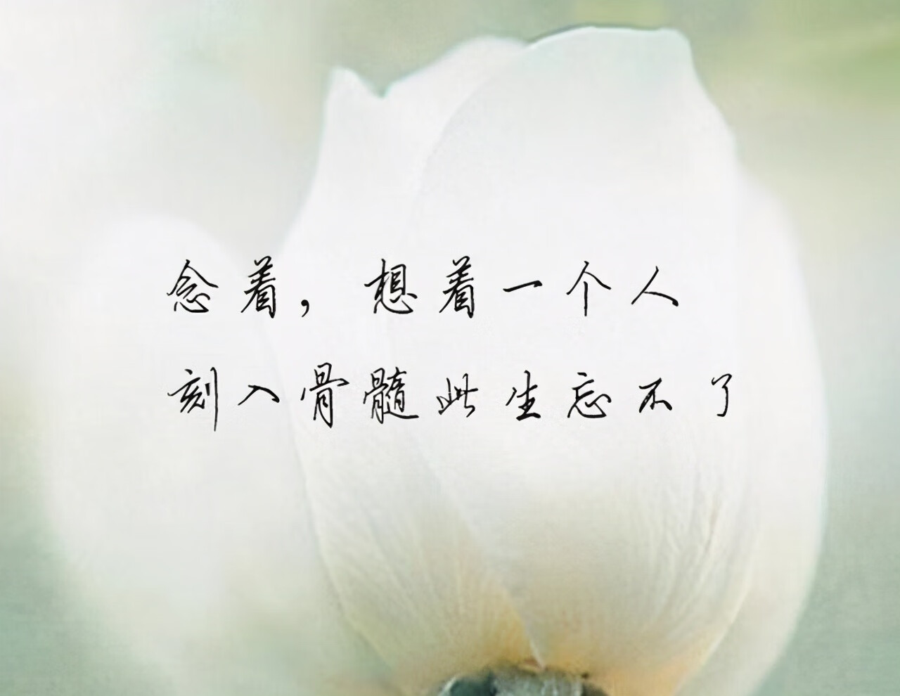 315爱情含义是什么意思(315在爱情里是啥意思)