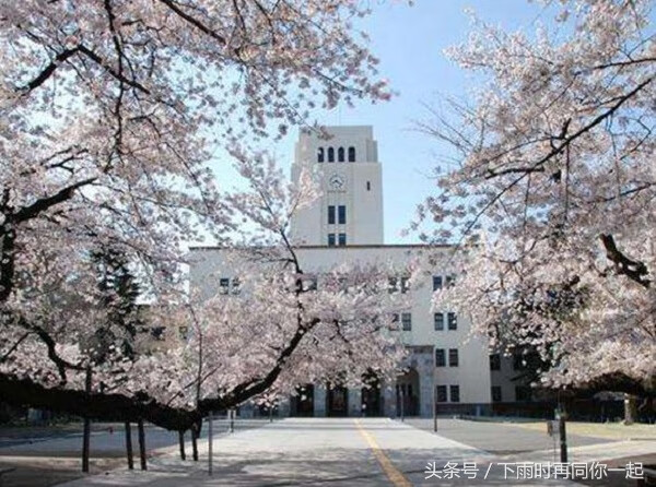 日本樱花国际日语(樱花国际日语价格表)