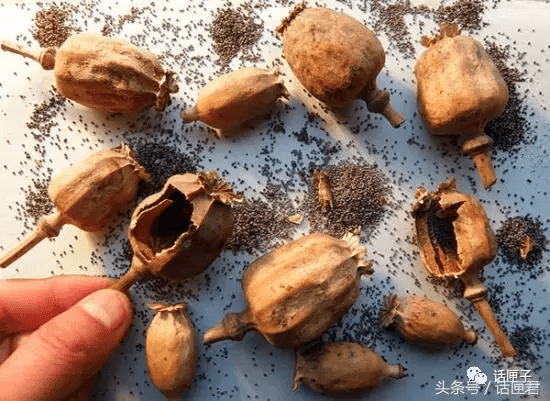 国家为什么要禁止沐舒坦(易坦静为什么不建议用)