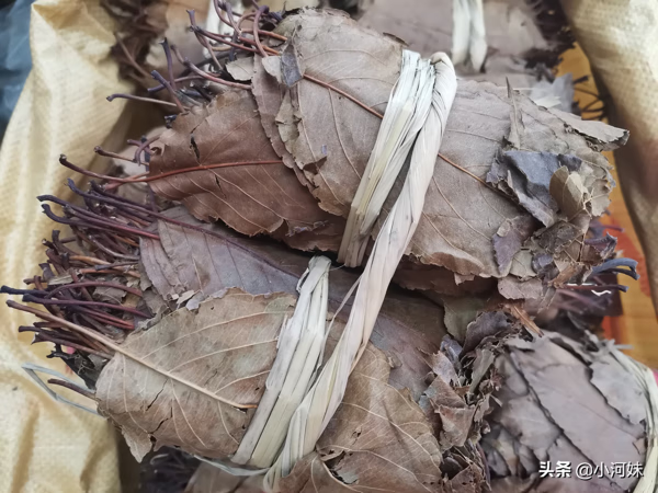 山楂叶茶(山楂叶图片)