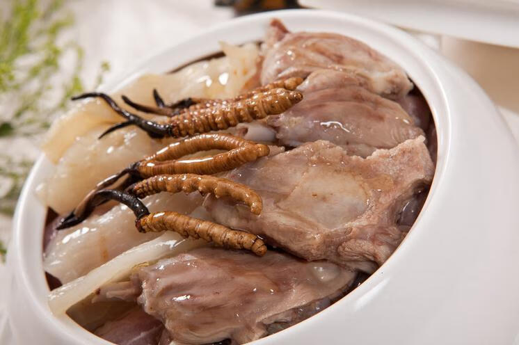 冬虫夏草的功效与作用及营养(冬虫夏草十大功效作用)