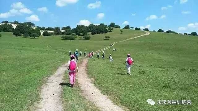 小学生夏令夏令营(夏令营小学生)