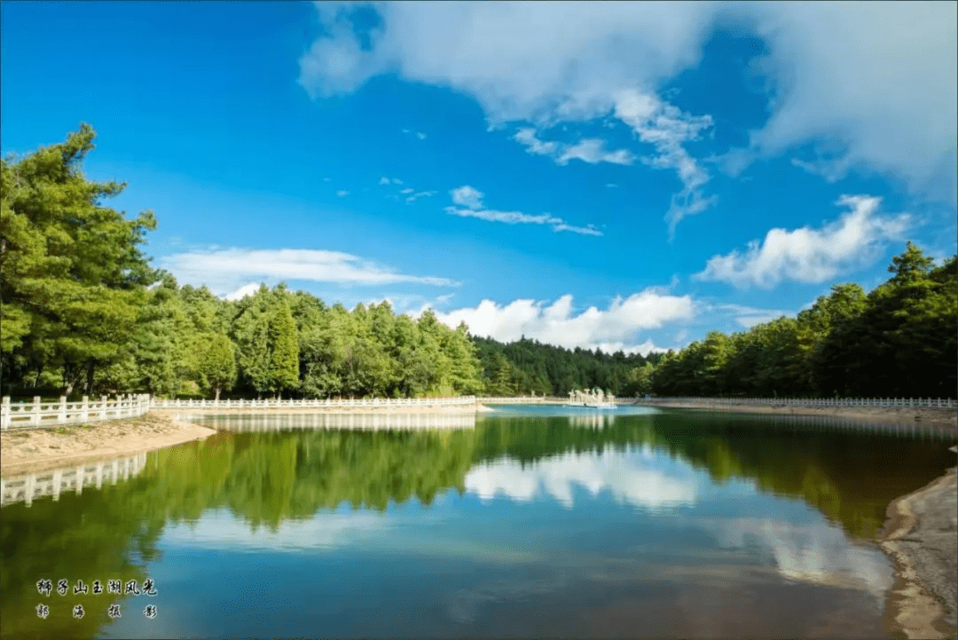 嘯天獅子風水寶地獅子回頭風水寶地