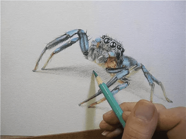 3d蜘蛛(蜘蛛怎么画3d)