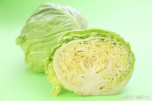 减肥 卷心菜(吃卷心菜能减肥吗)
