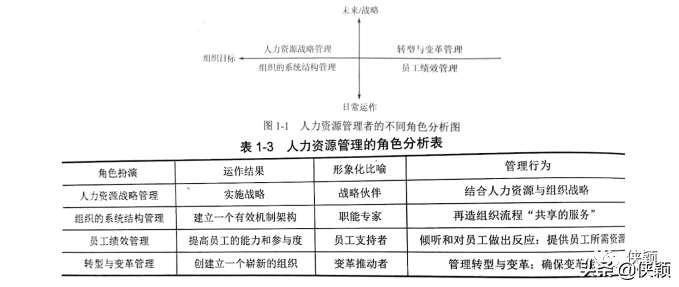 人力资源管理战略的内容(战略人力资源管理的内容)