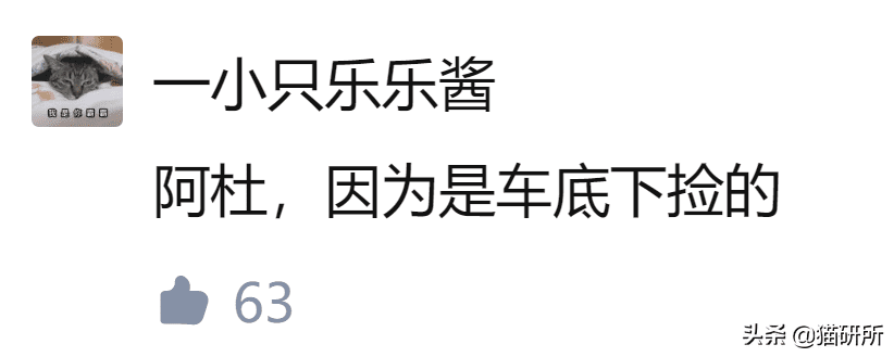 乖乖猪世界30攻略(乖乖猪世界3 15级技能)