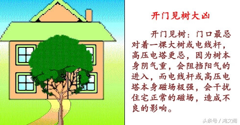 住宅风水图片大全(风水房型图大全 效果图)