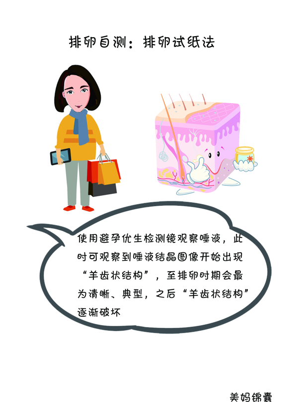 排卵试纸怎么用最准确(排卵试纸完整一个月图解)