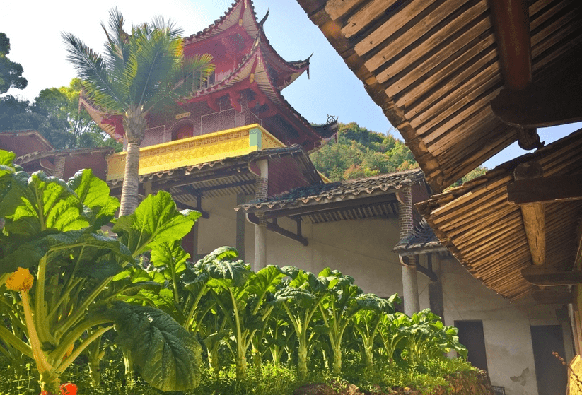 為什麼風水寶地都有寺廟(來賓寺山列村風水寶地)