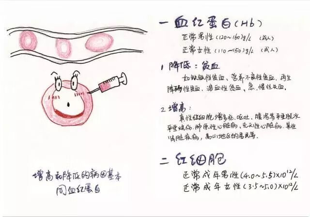 严重贫血的症状表现(贫血越来越严重是什么样子的)
