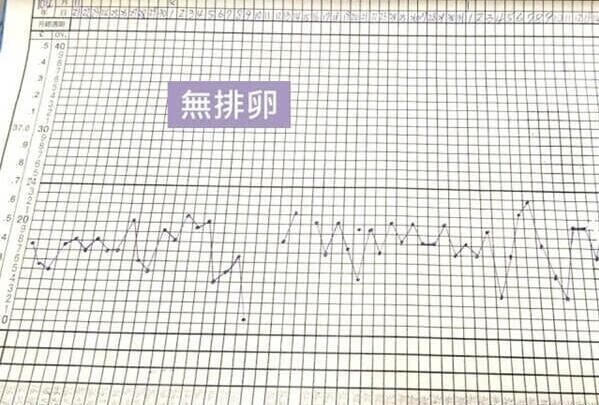 排卵期的体温表(女性排卵期体温表)