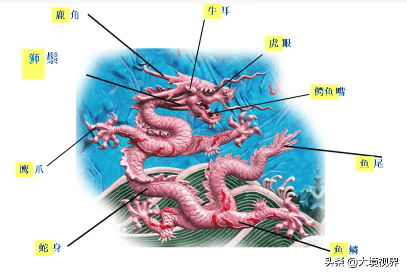 龙的英文怎么说(龙的英文是什么意思)