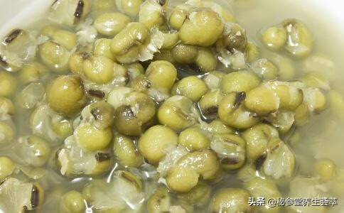 绿豆汤减肥还是增肥(绿豆汤减肥的人可以喝吗)