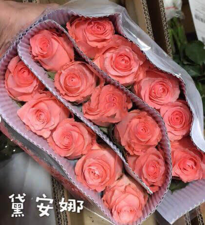野玫瑰花粉颜色(野山花粉的功效与作用)