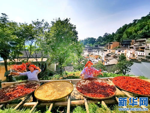 秋分是什么时节(秋分是什么节日)