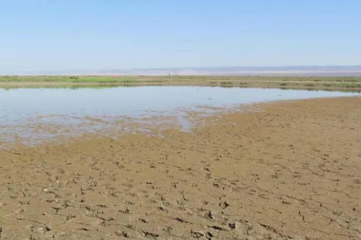 中国海拔最低的湖是什么湖(我国海拔最低的湖泊是什么湖)