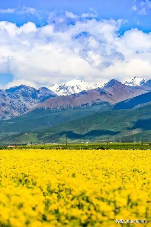 暑假去哪里旅游最好?(暑假去哪里玩最合适)