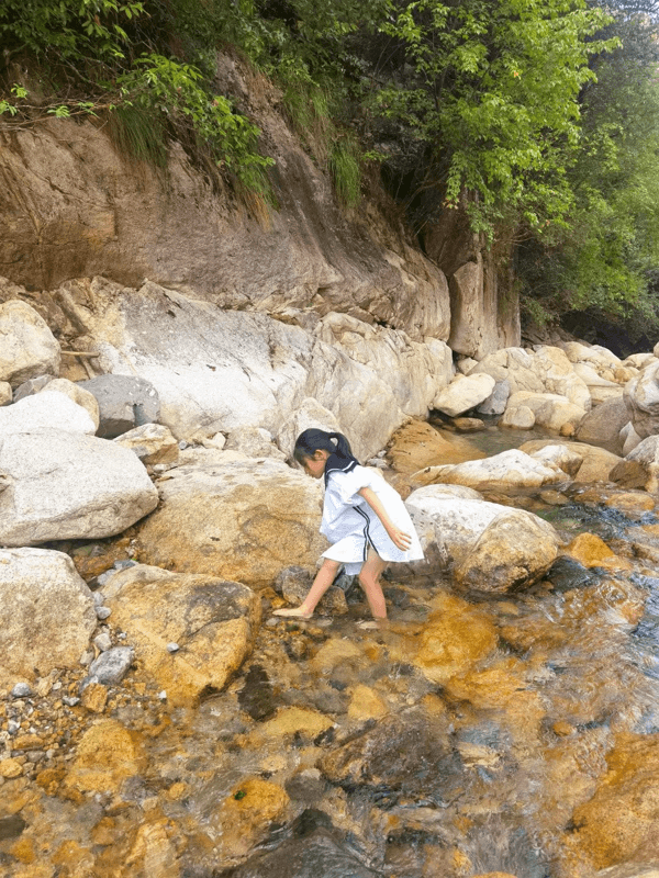 一览众山小(一览众山小有何比喻意)