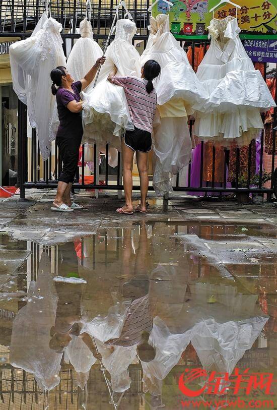 台风水浸茶回流市场(回流茶)