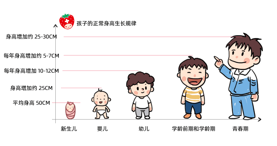如何快速长高10厘米?