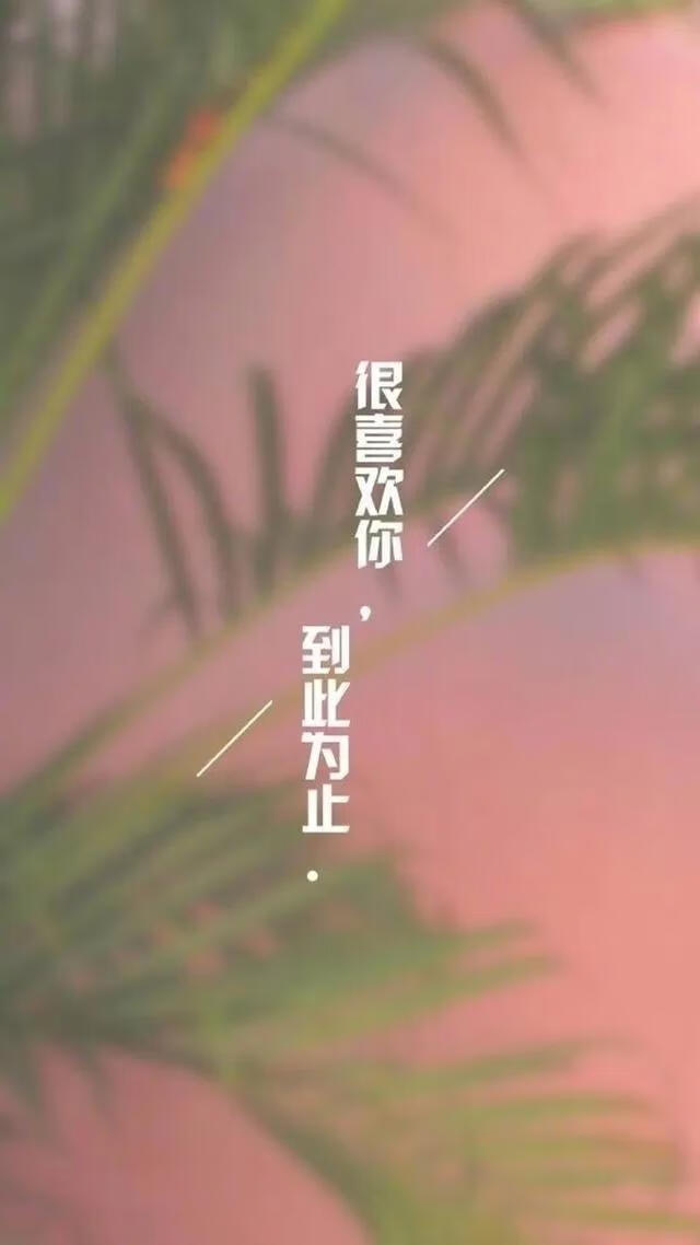 唯美动情的句子