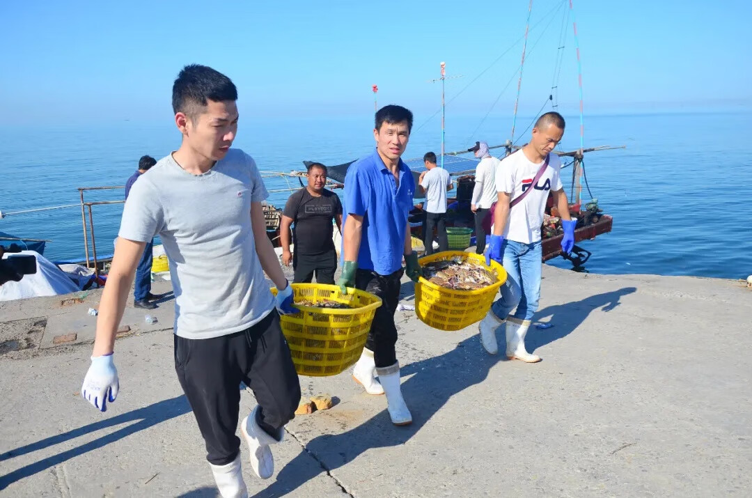 海肠图片(海肠和沙虫)
