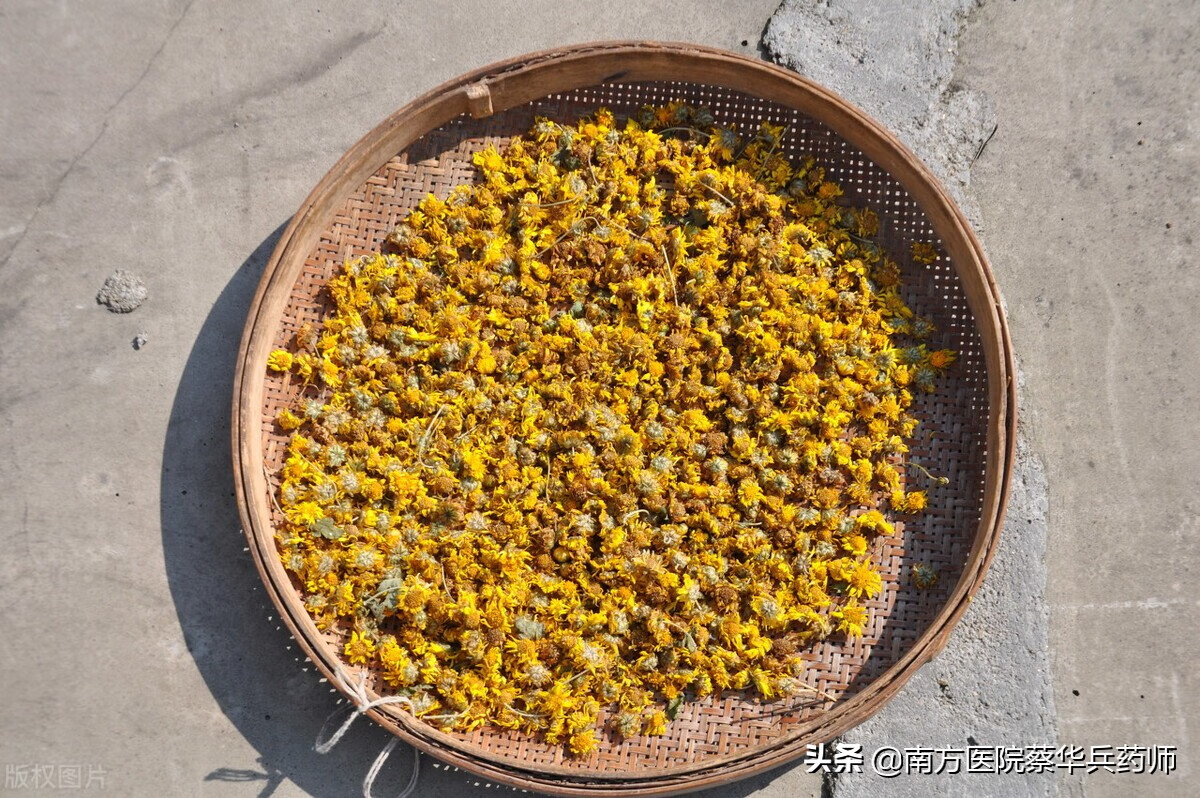 黄菊花茶