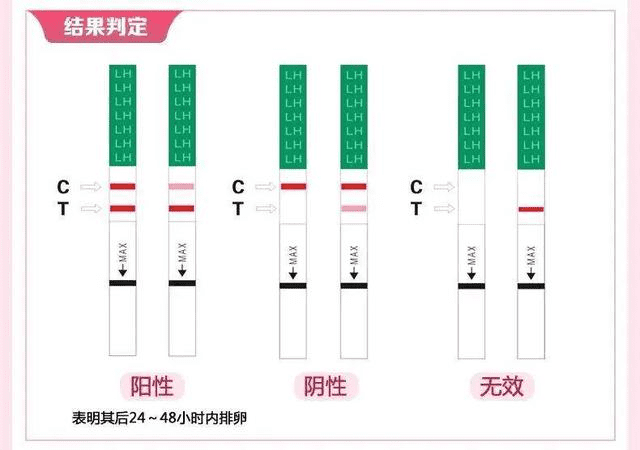 排卵试纸测怀孕准确吗(排卵试纸居然测出怀孕了)